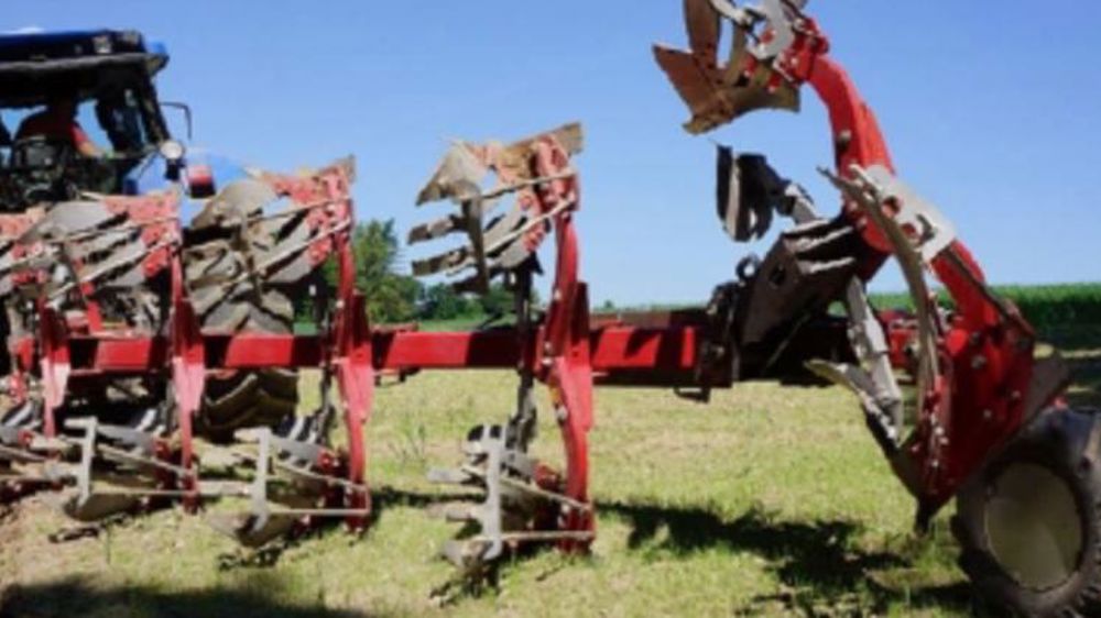 Des corps indépendants pour réduire les fourrières