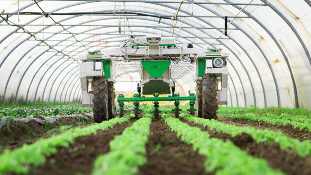 La deuxième édition du Fira s’organise