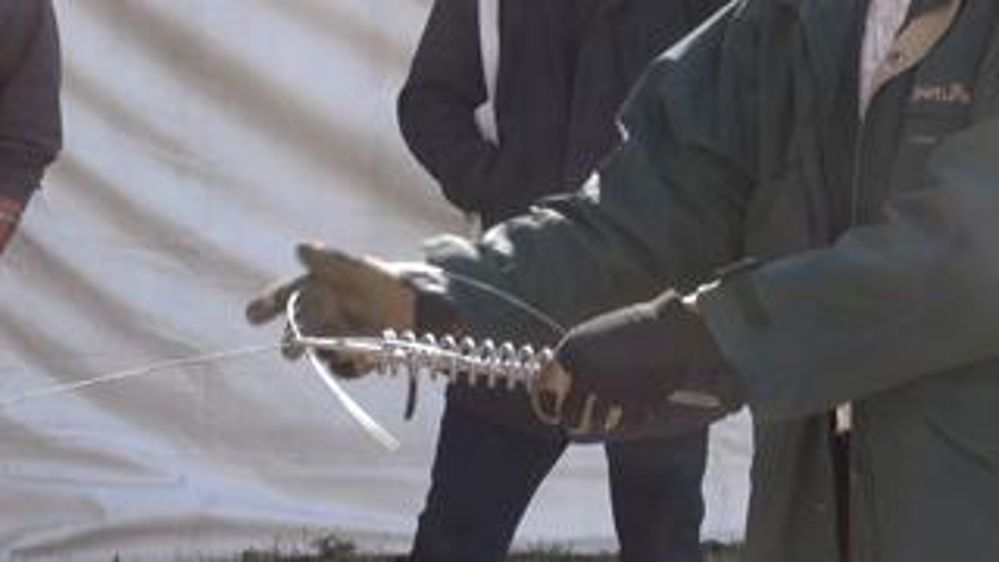 Les points clés face au gibier