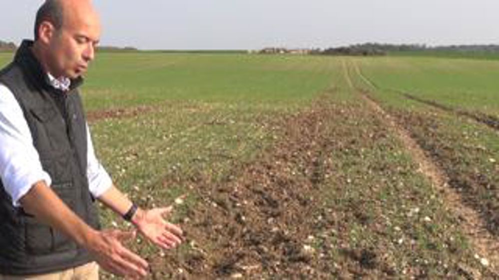 Une mauvaise expérience des clôtures sur batteries