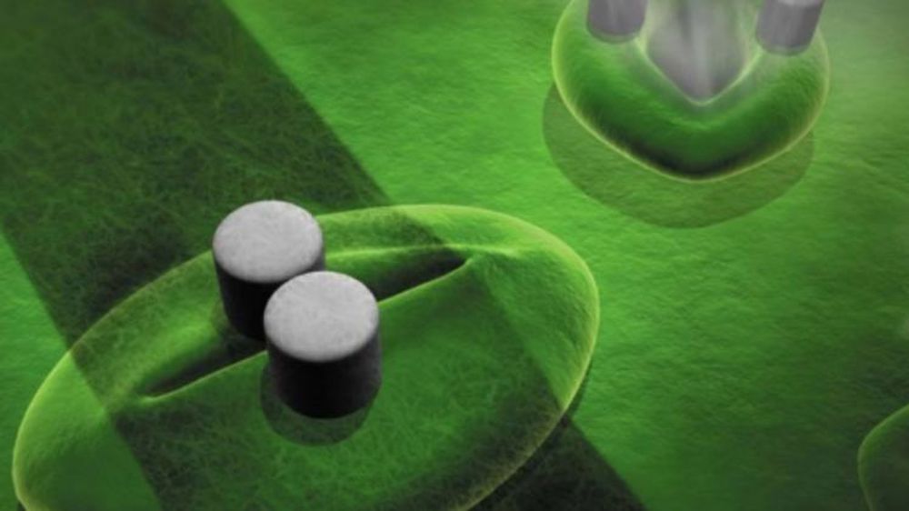 Des capteurs à l’intérieur des plantes