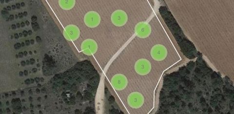 Échantillonnage © Chouette