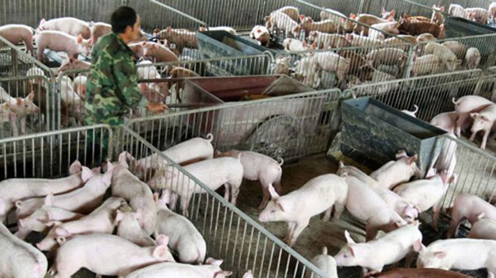 Identification rapide avec l’intelligence artificielle