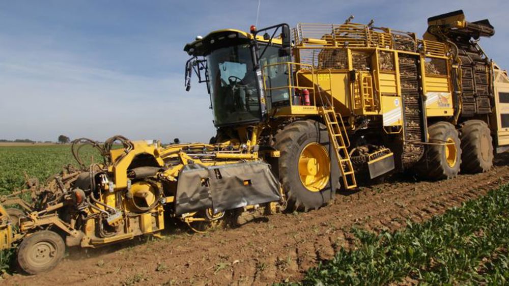 Une application gratuite pour déterminer la meilleure date d’arrachage