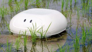 Un robot canard pour désherber Un robot canard pour désherber