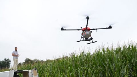 Un semis sur maïs grâce à un drone Un semis sur maïs grâce à un drone