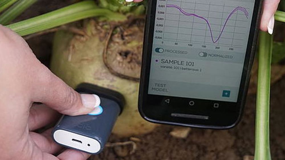 Tester la richesse des betteraves au champ