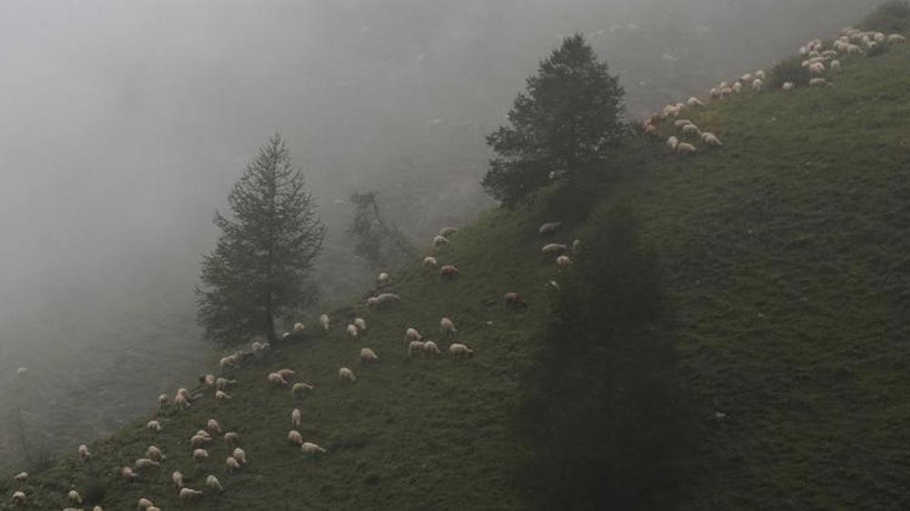 Un hackathon au salon de l’agriculture