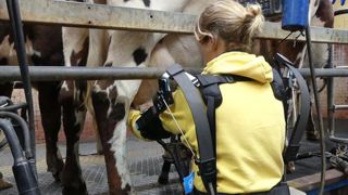 L’exosquelette n’a pas séduit les trayeurs L’exosquelette n’a pas séduit les trayeurs