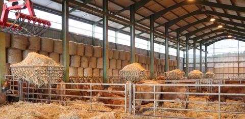 Le plein des râteliers se fait sans le moindre effort pour Pascal. © G. Baron