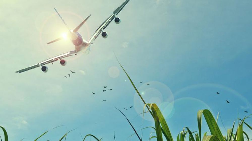 Comment la pandémie menace la fiabilité des prévisions