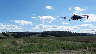 Des drones pour semer sur les parcelles incendiées Des drones pour semer sur les parcelles incendiées