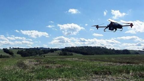 Des drones pour semer sur les parcelles incendiées Des drones pour semer sur les parcelles incendiées