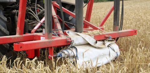 Une bâche est fixée sous le tracteur pour éviter d’abîmer la récolte, notamment l’orge. © I. Lejas