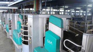16 robots GEA sur une exploitation 16 robots GEA sur une exploitation