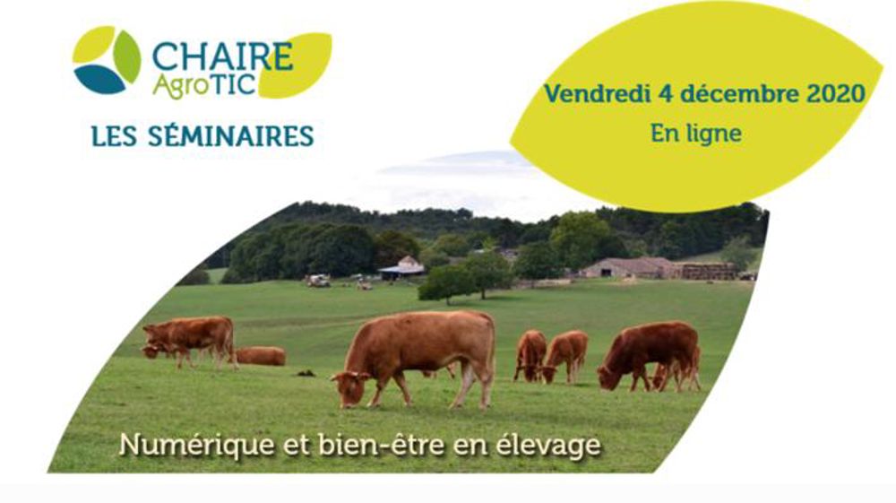 Un séminaire sur les possibilités du numérique