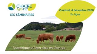 Un séminaire sur les possibilités du numérique Un séminaire sur les possibilités du numérique