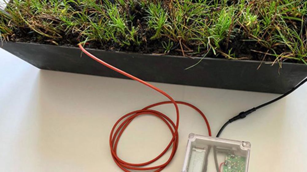 L’énergie des plantes pour communiquer avec les satellites