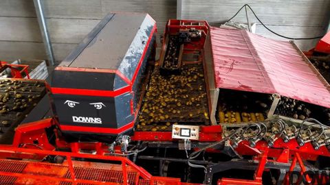 Un trieur optique pour les pommes de terre Un trieur optique pour les pommes de terre