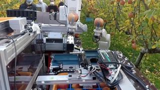 Ce robot cueille les fruits aussi vite que les humains Ce robot cueille les fruits aussi vite que les humains