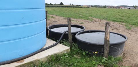 La cuve de 25 000 litres alimente constamment deux bacs à eaux. L’eau récoltée ne sert pas uniquement au pulvérisateur. Pour gagner du temps et éviter de constamment apporter de l’eau à travers toutes les pâtures, Denis a regroupé l’ensemble de son cheptel dans la pâture alimentée par la cuve. © P. Denis