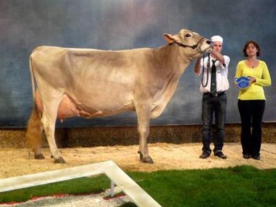 Brune, au Gaec Matignon (49, Meilleure Mamelle et Championen Adulte