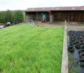 silo ensilage couvert végétal