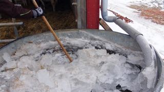 Des solutions contre le gel des abreuvoirs Des solutions contre le gel des abreuvoirs