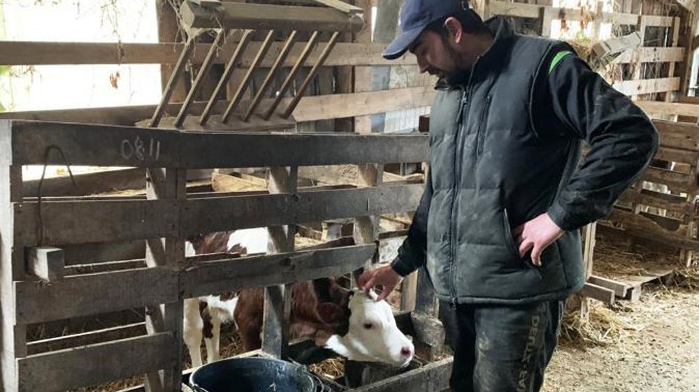 Hugo Devanne a conservé le plan de buvée mis en place par ses prédécesseurs. © A. Courty/GFA