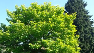 Les mesures agro-environnementales Les mesures agro-environnementales