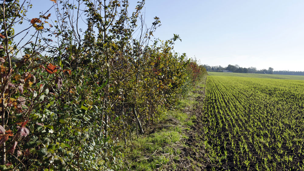 Le syndicat Jeunes Agriculteurs s’indigne du projet de loi