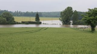 Maintien des aides Pac pour les parcelles touchées Maintien des aides Pac pour les parcelles touchées