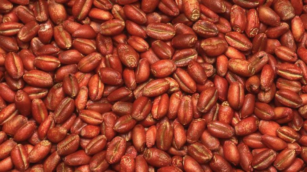 © Pascal Crapon/GFA