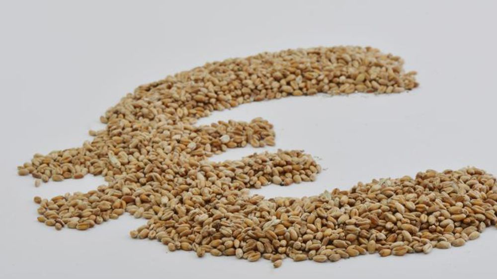 © C. Faimali / GFA