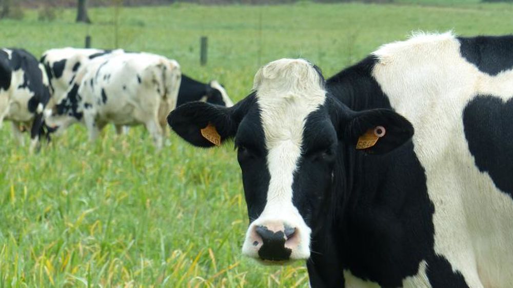 © M. Bressand / GFA