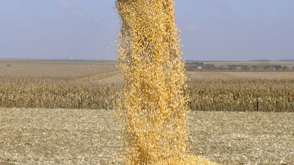 Le temps sec fait baisser les rendements européens
