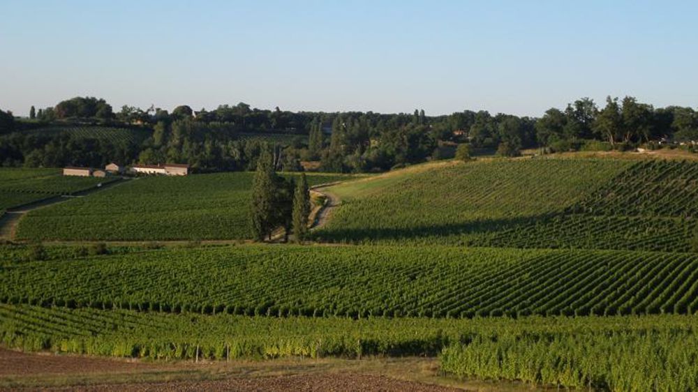 © Tanguy Dhelin / GFA