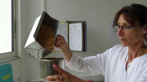 Laboratoire d’analyse de FranceAgriMer © C. Le Jeune / GFA
