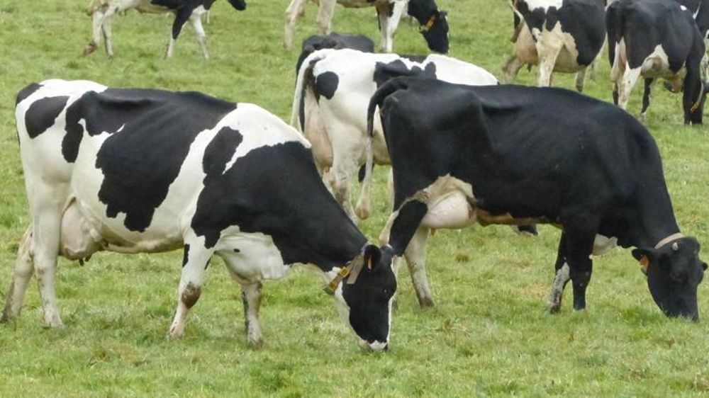 © M. Bressand / GFA