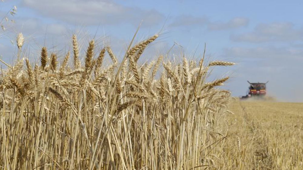 Une stabilité qui cache des disparités