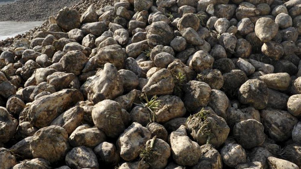 © Cédric Faimali/GFA