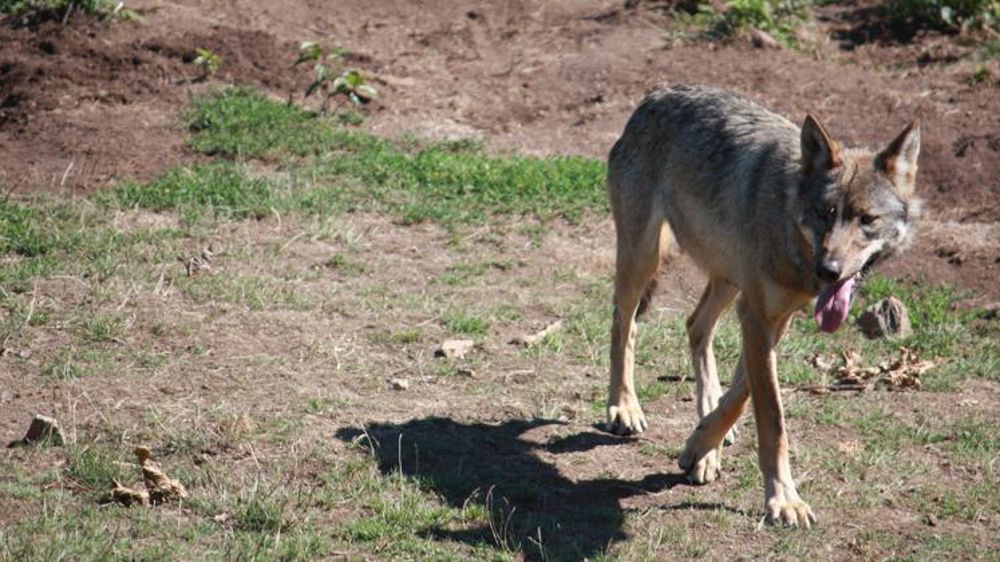 © M.-F. Malterre / GFA