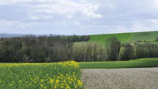 La Coordination rurale réclame de la souplesse La Coordination rurale réclame de la souplesse