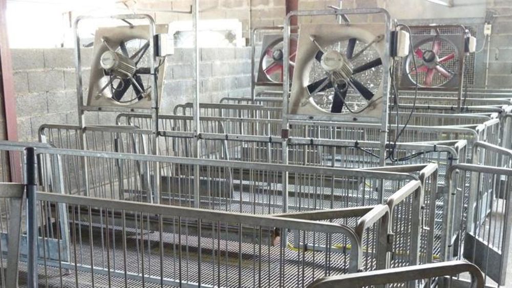 Salle de gavage vide. © Arielle Delest/GFA