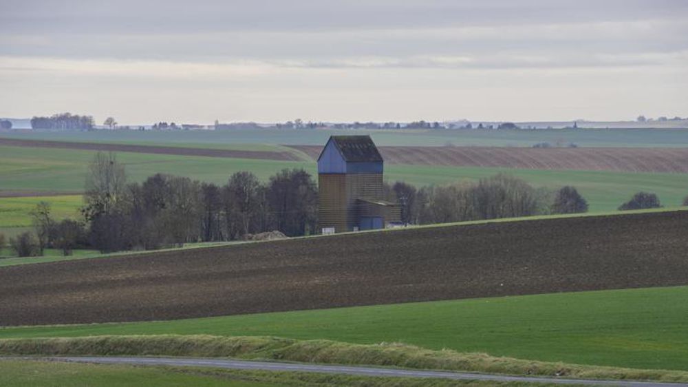 © C. Faimali / GFA