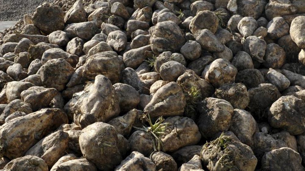 © Cédric Faimali/GFA