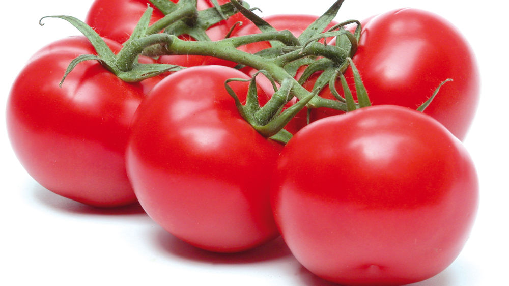 Une bonne année pour la tomate