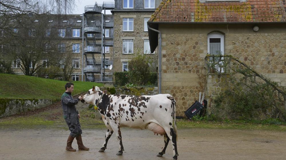 © Cédric Faimali / GFA