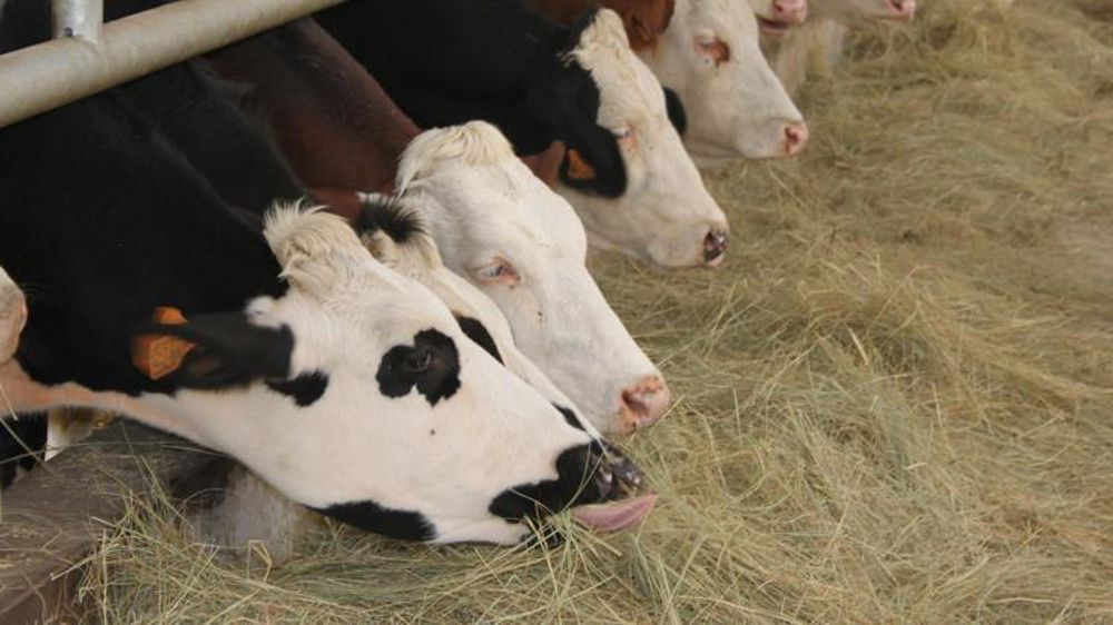 © M. Bressand / GFA