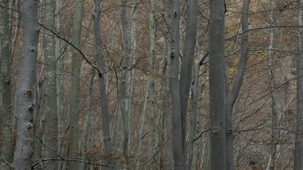 © genevieveromier/Flickr